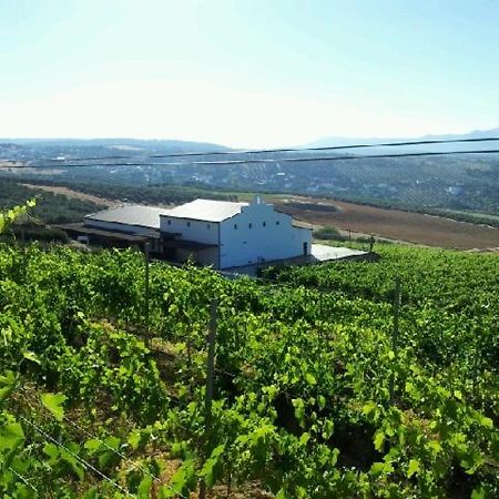 Bodegas Morosanto Apartment La Cimada Luaran gambar