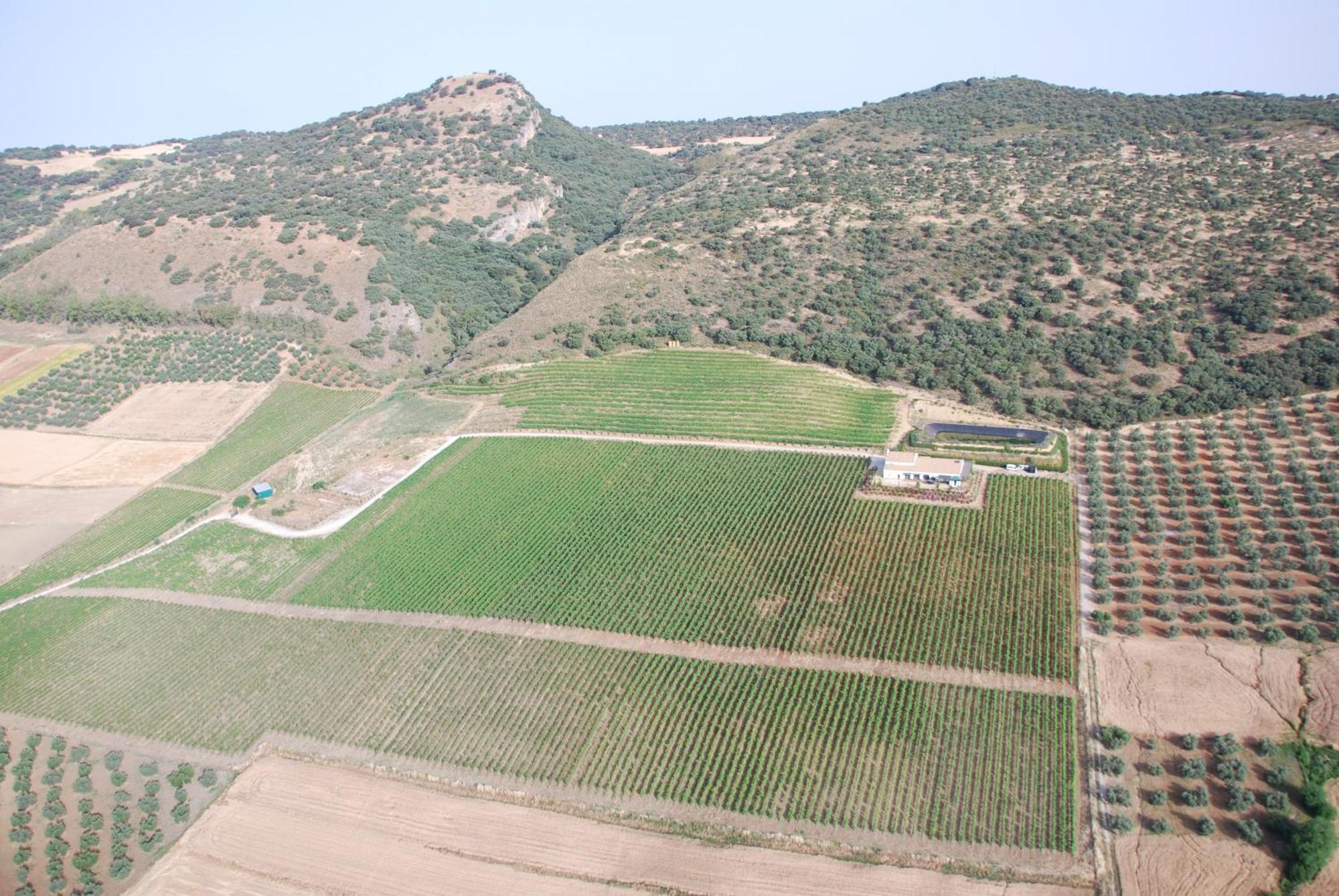 Bodegas Morosanto Apartment La Cimada Luaran gambar